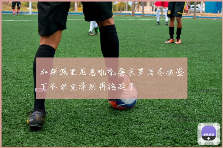 加斯佩里尼急吼吼要求罗马尽快签下齐尔克泽别再拖延了